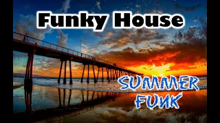 Funky & Disco House Mix 2021 | Purple Disco Machine 💜 |  David Penn 🏠  | Crazibiza | 🌞Summer Funk🌞