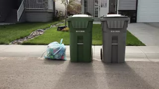 Curbside Garbage Collection - City of Lloydminster