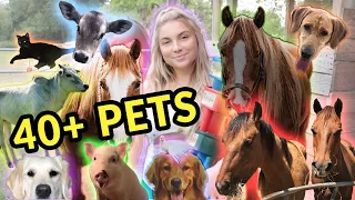 Feeding ALL My Pets in One Video | 40+ Pets!