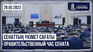 29.05.2023 - Сенаттың үкімет сағаты / Правительственный час Сената