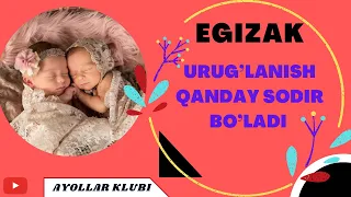 EGIZAK URUG’LANISH QANDAY SODIR BO’LADI