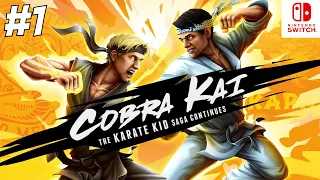 COBRA KAI THE KARATE KID SAGA CONTINUES PART 1