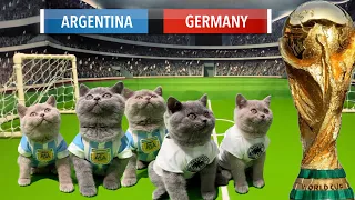 LETS UNLEASH WORLD CUP CATS KITTENS GAME 3