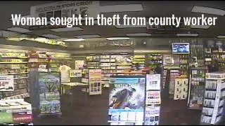 Fresno County theft suspect