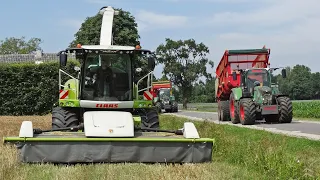 Whole Crop Silage | Claas Jaguar 940 + Direct Disc 610 | Geresteijn | 2018