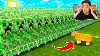 999999999999 CREEPERS vs 1 GATO no MINECRAFT