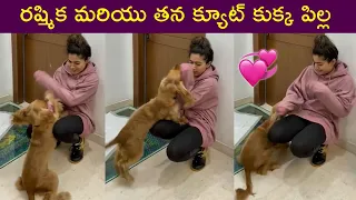 Rashmika Mandanna Playing With Her Cute Dog | Rahsmika Mandanna Cute Aura | Rajshri Telugu