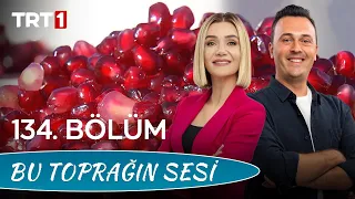 Bu Toprağın Sesi 134. Bölüm – Gıda Güvenliği ve Denetimi