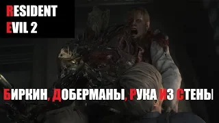 БИРКИН, ДОБЕРМАНЫ, РУКА ИЗ СТЕНЫ Resident Evil 2 remake Часть №3