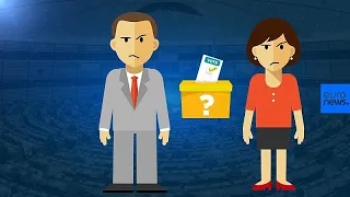 How do the European Parliament elections work?