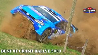 BEST OF RALLY 2023 | Big Crash, Action & Fails | HDrallycrash