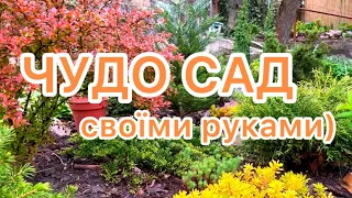 Пробудження саду продовжується. 🧡🌿 Це чудово!