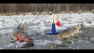 ПЕРВЫЙ ЛЕД 2018 - 2019!!! Рыбалка на жерлицы по первому льду!!! Ловля щуки по первому льду.