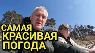 Возле г.Вентспилс, Латвия - Гуляем в лесу на Берег моря - 26.04.2024 / Отличная погода / Бульдожка