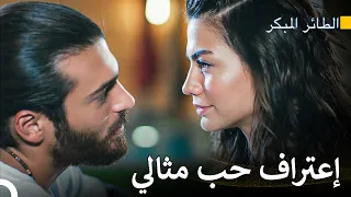 قبل القطرس و بعد القطرس - مسلسل الطائر المبكر