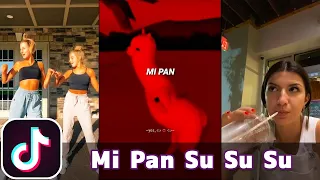 Mi Pan Su Su Su | TikTok Compilation