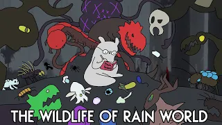 Cataloguing Rain World's Wildlife | An Exhaustive Analysis