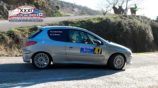 O.Blanco - J.Menéndez | Rallye del Bierzo 2024 | Peugeot 206 RC