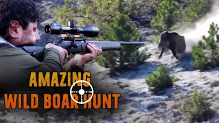 AMAZING WILD BOAR BEST SHOOTS - DOMUZ AVI MUHTEŞEM VURUŞLAR