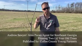Pruning 2YR Old Pecan Trees with Andrew Sawyer