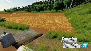 Série Arrozeira #9  "Dia de esgotar as granjas" mapa Ribeirão Jundiá mapa para  Farming Simulator 22