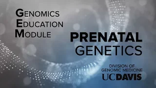 Genomic Education Module (GEM): Prenatal Genetics