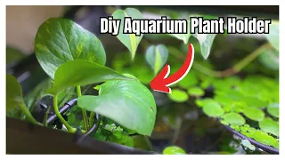 DIY Aquarium Plant Holder |  I Use These For Both My Betta Tanks!