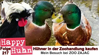 E 217 Hühner in Zoohandlung kaufen? Mein Besuch bei Zoo Zajac in Duisburgn Treffen mit Norbert Zajac
