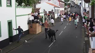 Touros HF - Festas Terra Chã 2022 - Ilha Terceira - Açores - Portugal