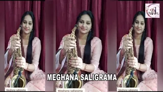 Materani Chinnadani Telugu Music ||MEGHANA SALIGRAMA||