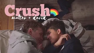 matteo & david • crush | [druck]