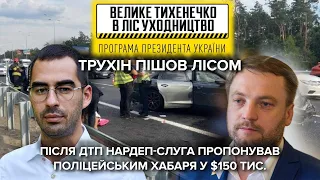 "Трухінгейт": Як нове відео з місця ДТП за участю депутата обернулося гучним скандалом. Подробиці