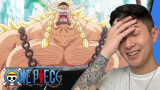 WEEVIL IS MY HERO!!! | One Piece Episode 1105 Reaction