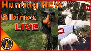 Hunting the NEW Albinos LIVE w/ ZaggiDK | theHunter Classic