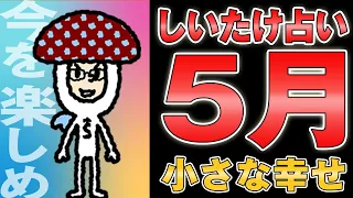 【しいたけ占い】2024年5月の運勢を発表!!【12星座別】 #しいたけ占い