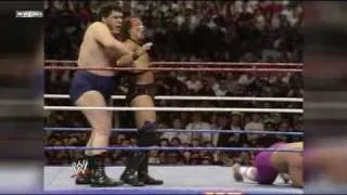 WrestleMania Recap:  WrestleMania 6