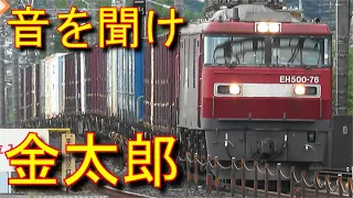 EH500金太郎 2車8軸機関車のド迫力通過 通過音最高