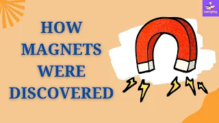 How Magnets Were Discovered | Discovery Of Magnets | History Of Magnets | Class 6 |