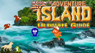#AdventureIsland Adventure Island - NES - ULTIMATE GUIDE - ALL Rounds, ALL Pots, ALL Bonuses, 100%