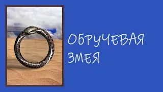 Неизвестные Животные Планеты Земля 129 - Обручевая Змея