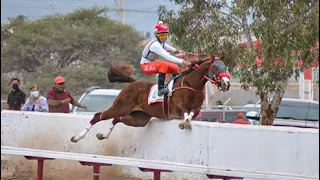 Accidentes en Carreras de Caballos, Lamentable accidente En la Carrera del Domingo Vs El Pacifico.