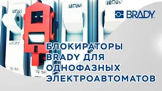 Блокиратор для однофазных электроавтоматов Brady