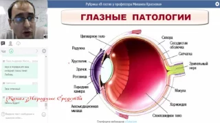 «САД   ACLON» Глазные патологии и флуревиты 1 часть ⁄ Краснов М  16 01 17