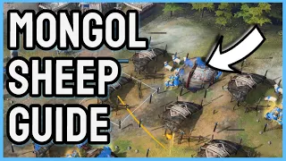 Age of Empires IV Mongol Sheep Guide