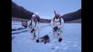 Coyote Hunting - Snow Moon