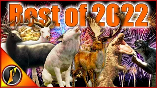 The Best of 2022! Diamonds, Rares, 5 Stars, & More Trophies!