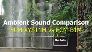 Sony ECM-B1M Shotgun Digital Microphone Sound Test