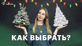 Как выбрать елку на новый год? Какая ёлка экологичнее: живая или искусственная  | TutorOnline