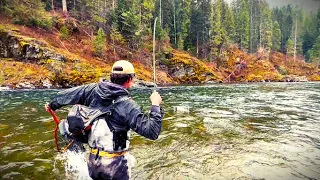 Why Some Say "Best in the World" | 3-DAY Fly Fishing Trip to Northern Idaho