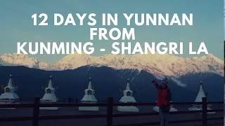 Travel Freedom Channel: Yunnan 12 days trip from Louping-Yuanyang-Shangri La-Fielai Si-Lijiang